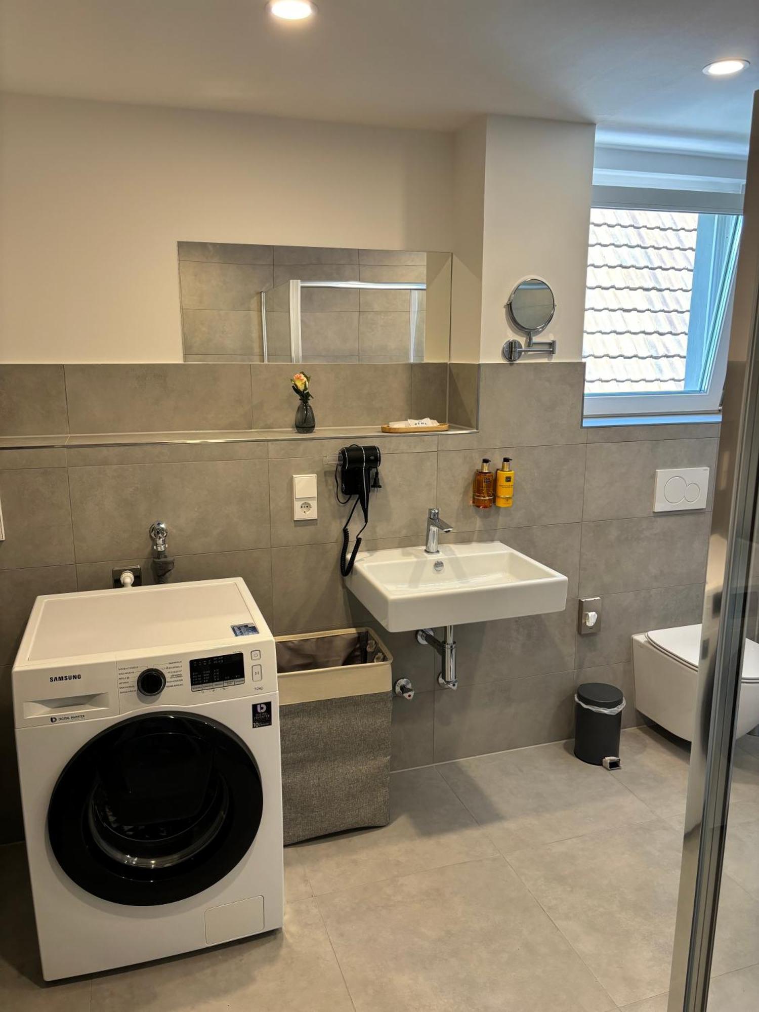 Gesamte Wohnung, Kueche, Parkplatz, Terrasse Бад Белинген Екстериор снимка