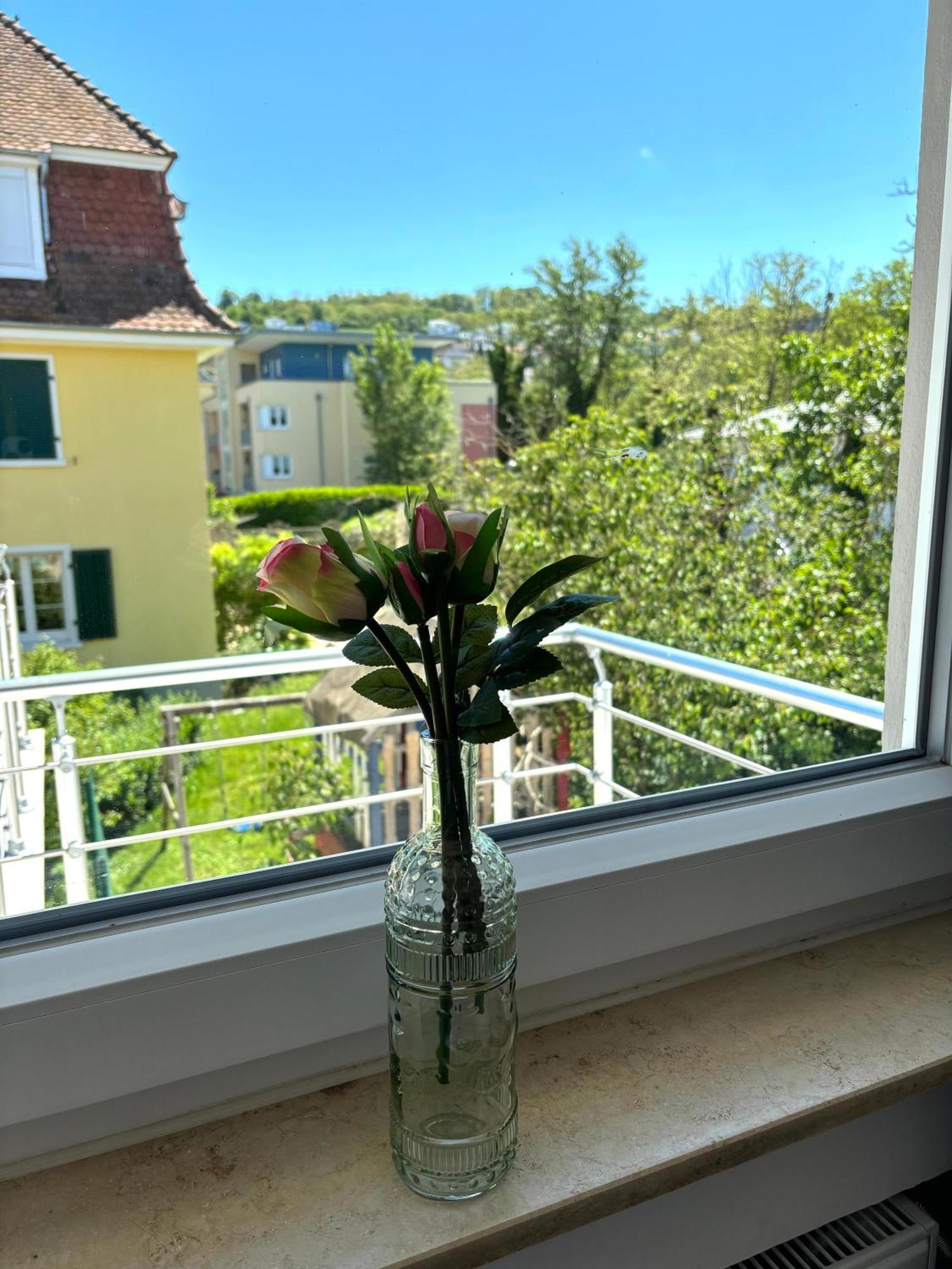 Gesamte Wohnung, Kueche, Parkplatz, Terrasse Бад Белинген Екстериор снимка