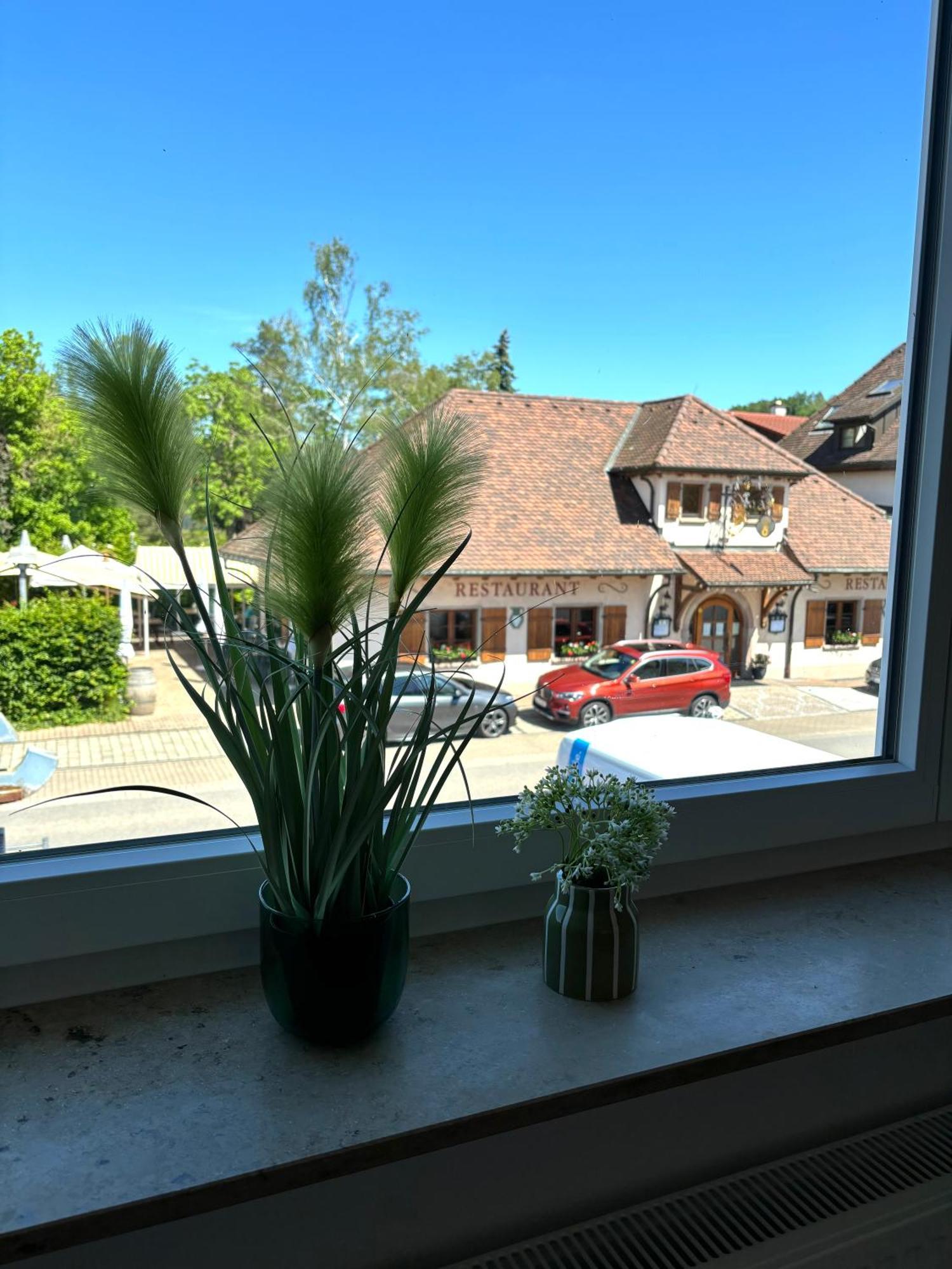 Gesamte Wohnung, Kueche, Parkplatz, Terrasse Бад Белинген Екстериор снимка